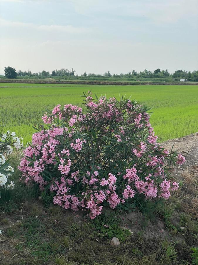 Tenuta Favorita Fontanetto Po Esterno foto